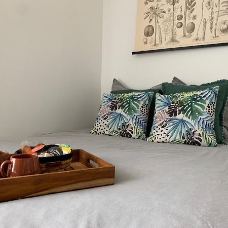 Le Petit Bali - Studio - Wifi - Parking - Coeur De Ville Pont-lʼAbbé 外观 照片